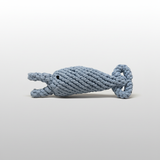 The dolphin dog toy-1