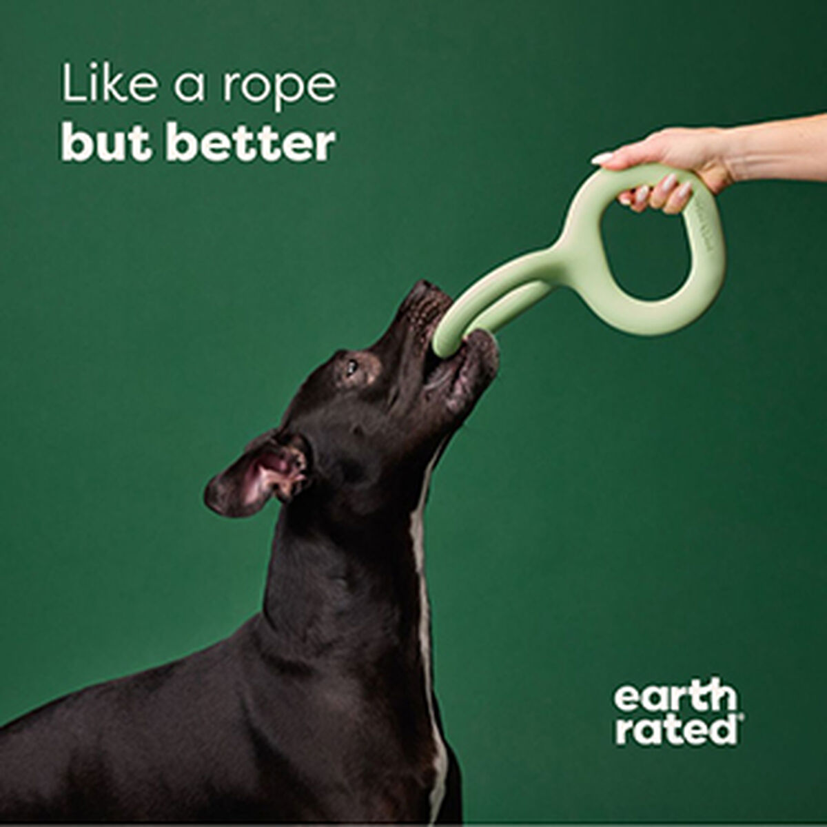 Dog toy Earth Rated-3