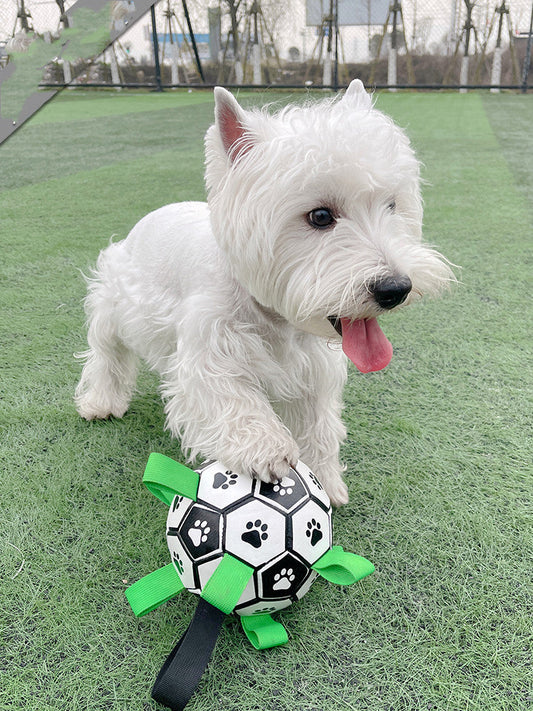 Lovely Paw Football Dog Toy-1