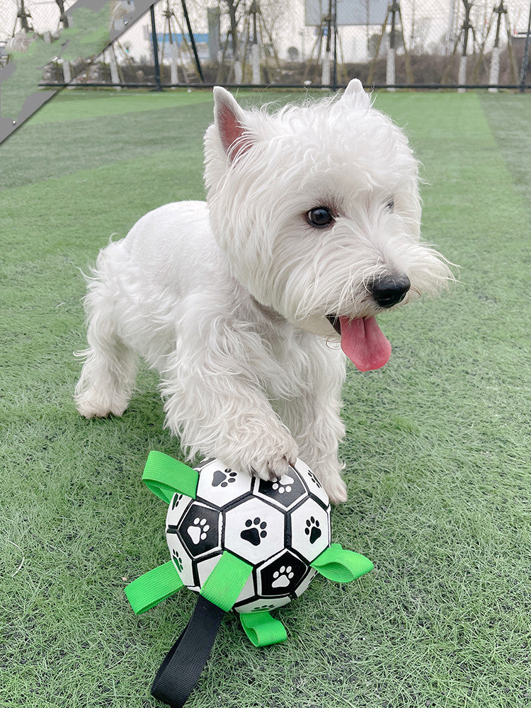 Lovely Paw Football Dog Toy-4